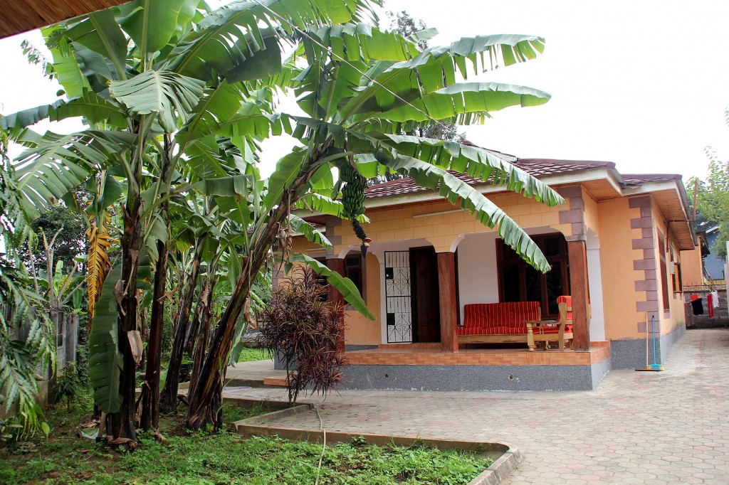 国际义工,国际志愿者